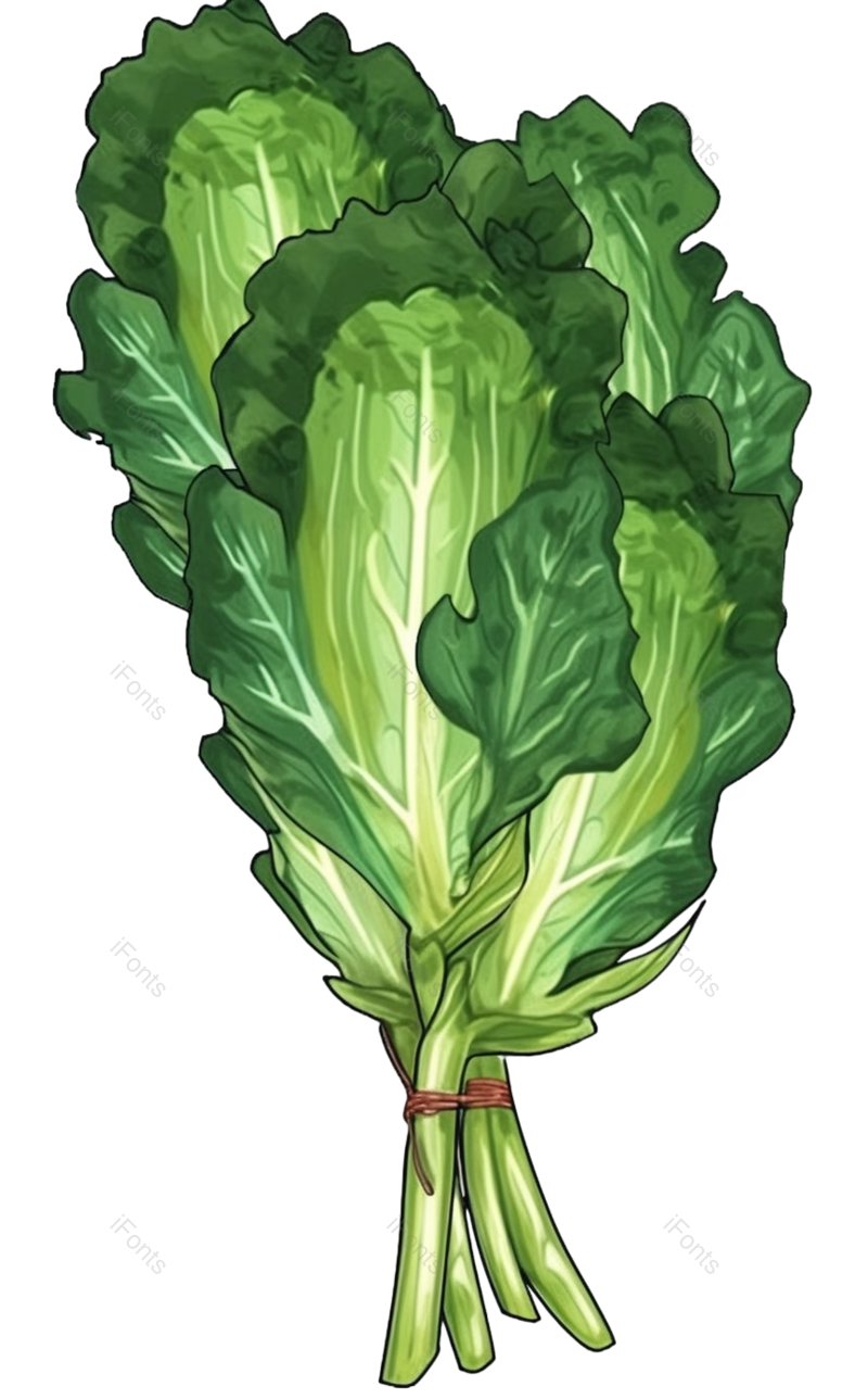 蔬菜图片,绿色元素,绿色蔬菜PNG,健康食品免抠素材